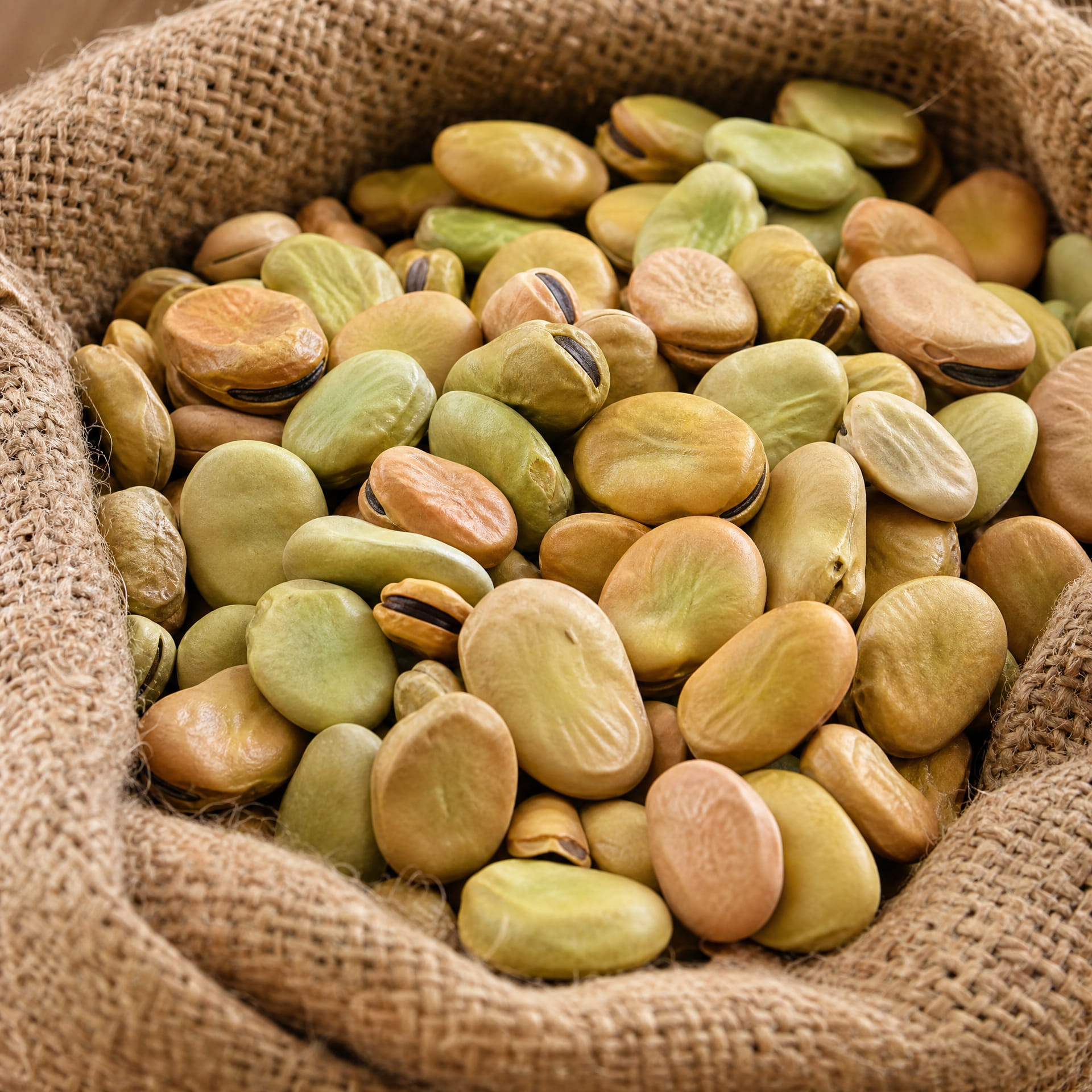 Broad Beans